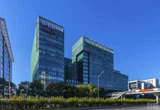 临沂滑子菇干货哪家品质好